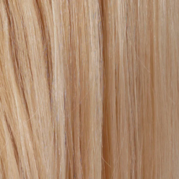 R613/24H | Pale Golden Blonde / Light Ash Blonde Highlights