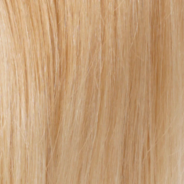 RT613/27 | Light Auburn Tipped with Pale Blonde