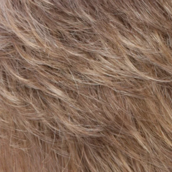 HONEYTOAST | Light Brown with Pale Golden Blonde Highlights