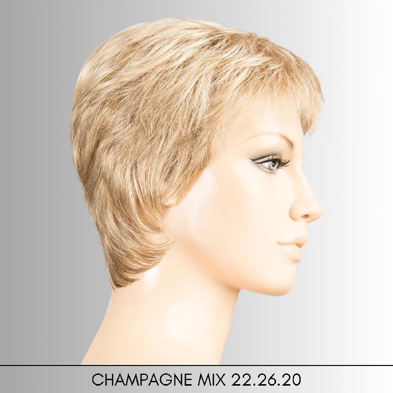 CHAMPAGNE MIX 22.26.20